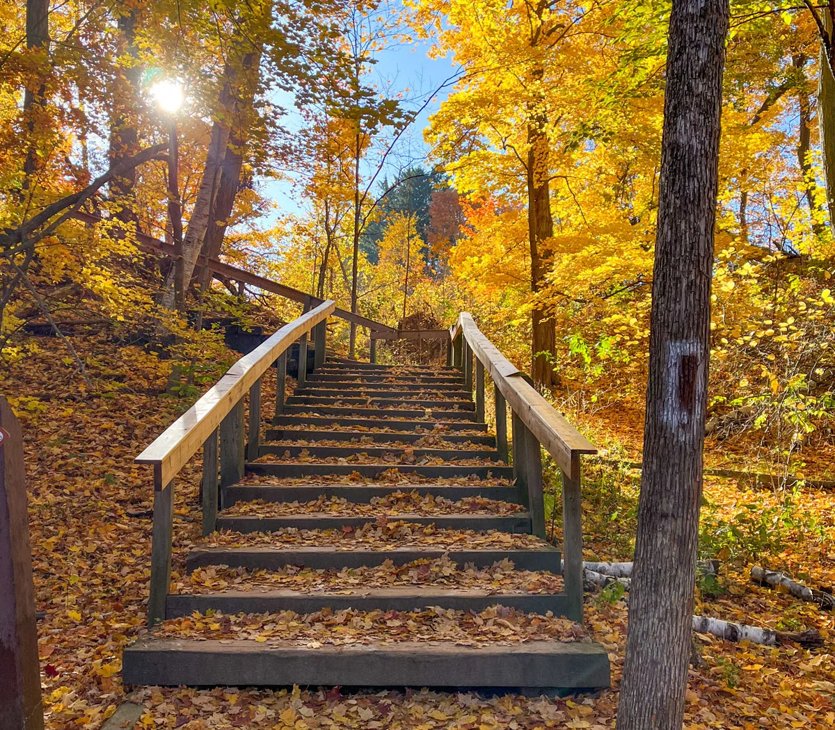Bronte Creek Provincial Park in Oakville